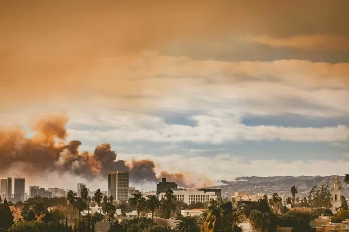 Moda Solidaria: Marcas y Diseñadores Unidos contra los Incendios en Los Ángeles